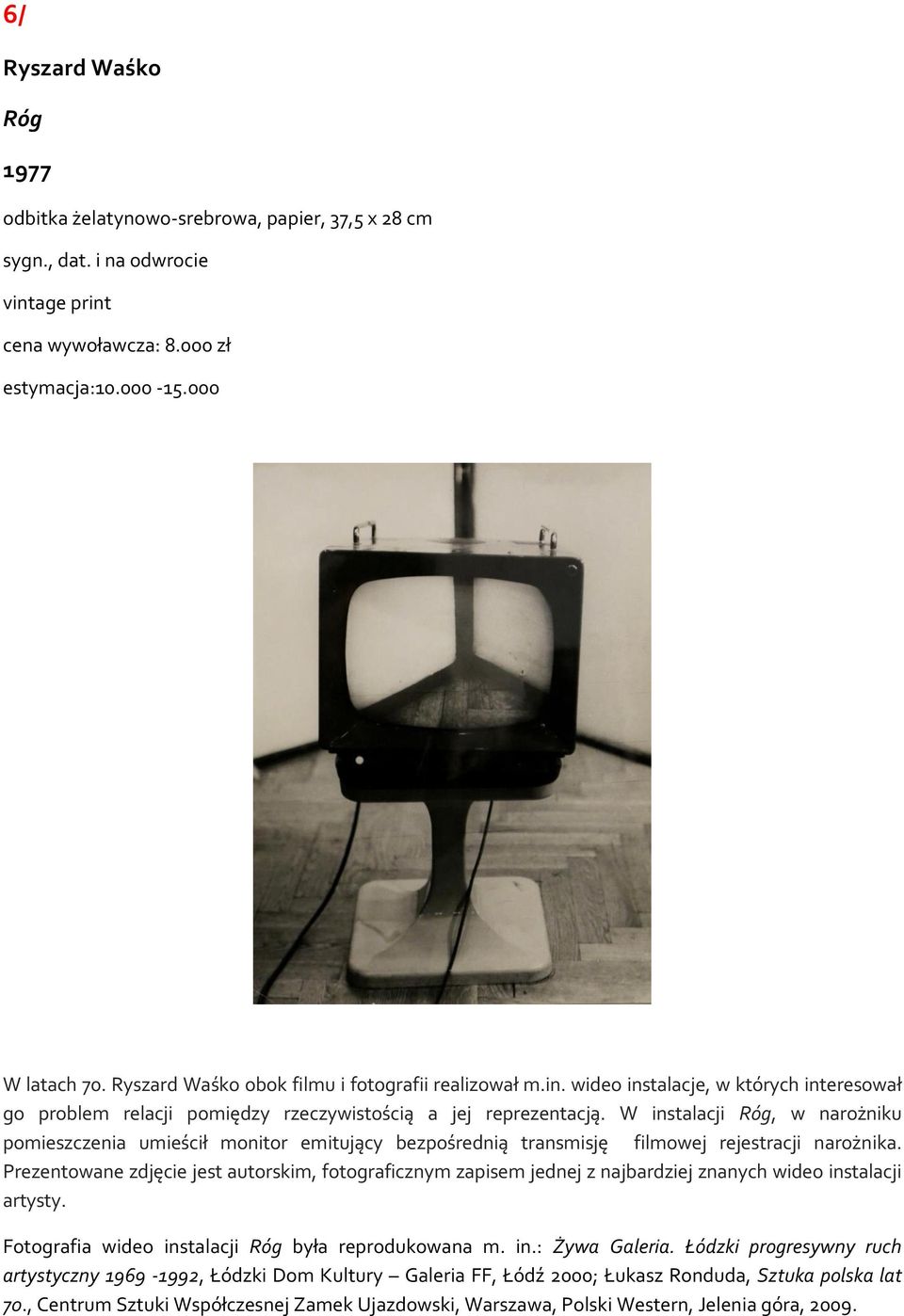W instalacji Róg, w narożniku pomieszczenia umieścił monitor emitujący bezpośrednią transmisję filmowej rejestracji narożnika.