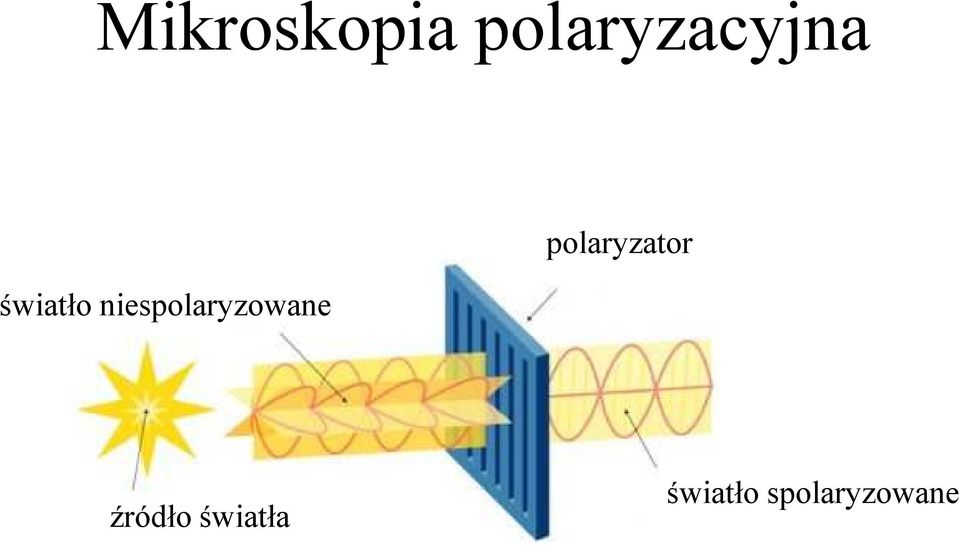 niespolaryzowane