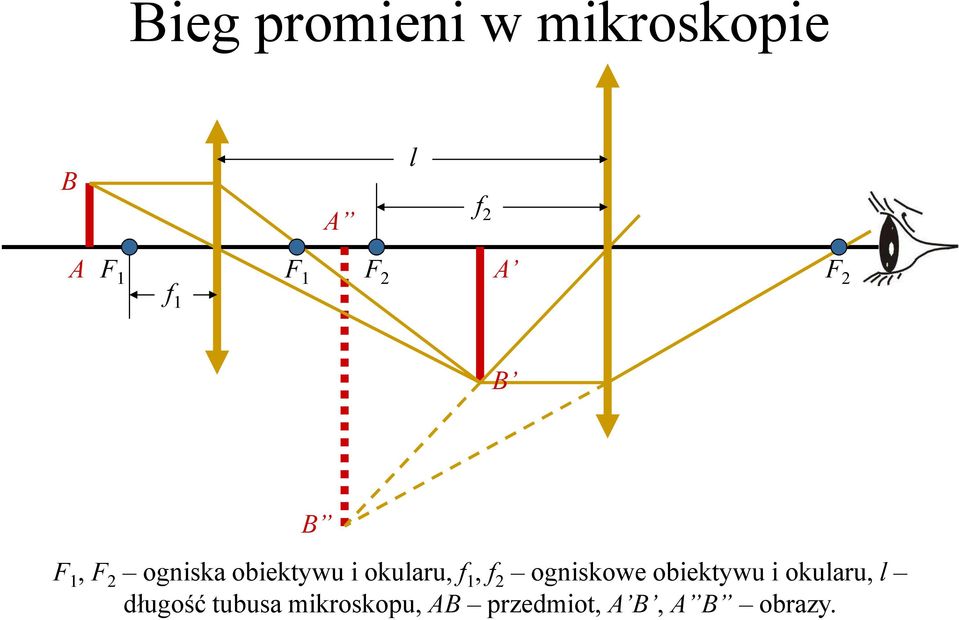 okularu, f 1, f 2 ogniskowe obiektywu i okularu, l