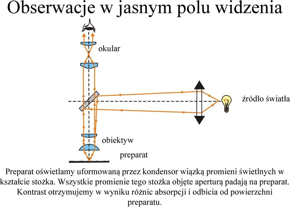 kształcie stożka.