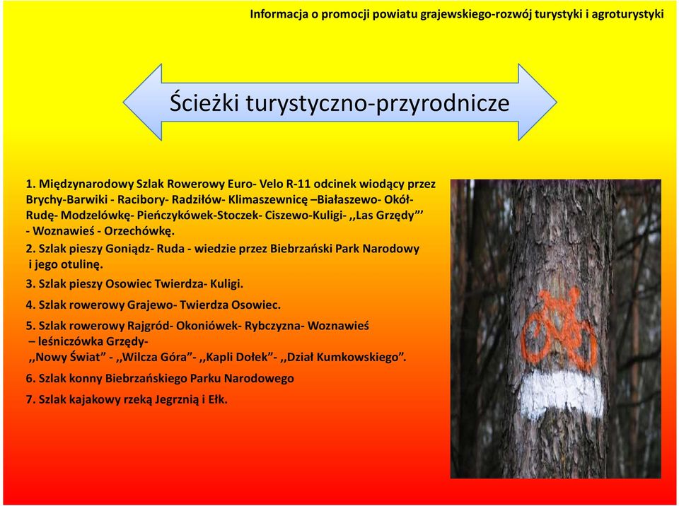 Pieńczykówek-Stoczek- Ciszewo-Kuligi-,,Las Grzędy - Woznawieś- Orzechówkę. 2. Szlak pieszy Goniądz- Ruda - wiedzie przez Biebrzański Park Narodowy i jego otulinę. 3.