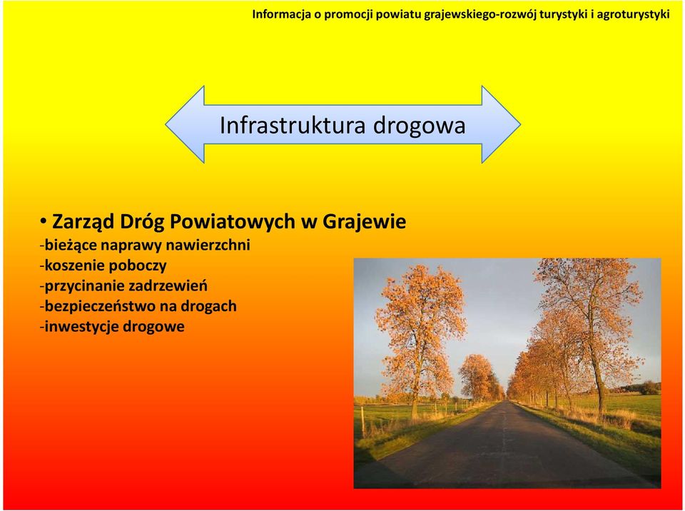 nawierzchni -koszenie poboczy -przycinanie