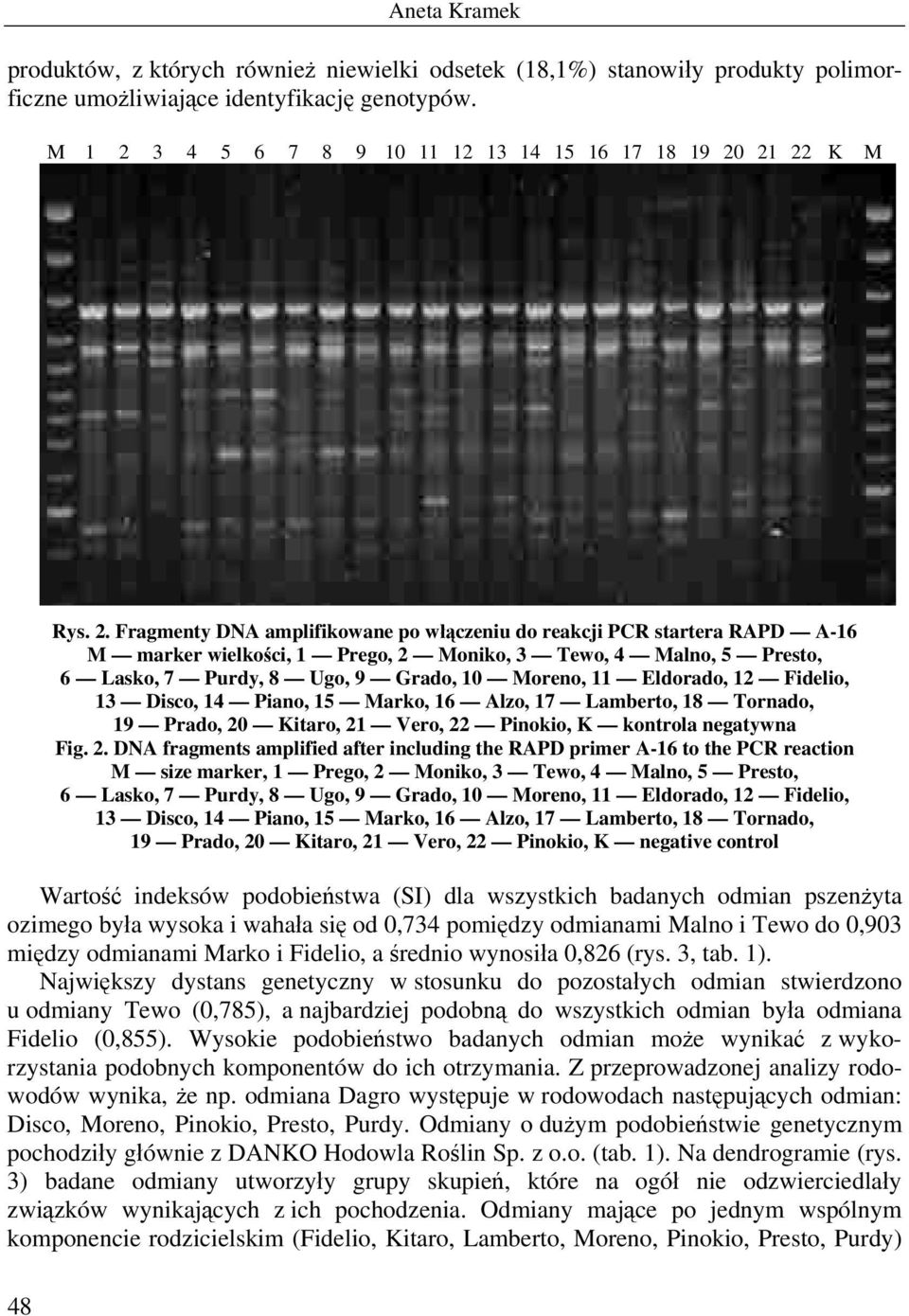 21 22 K M Rys. 2. Fragmenty DNA amplifikowane po włączeniu do reakcji PCR startera RAPD A-16 M marker wielkości, 1 Prego, 2 Moniko, 3 Tewo, 4 Malno, 5 Presto, 6 Lasko, 7 Purdy, 8 Ugo, 9 Grado, 10