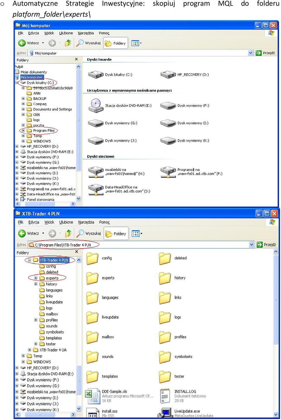 skopiuj program MQL do