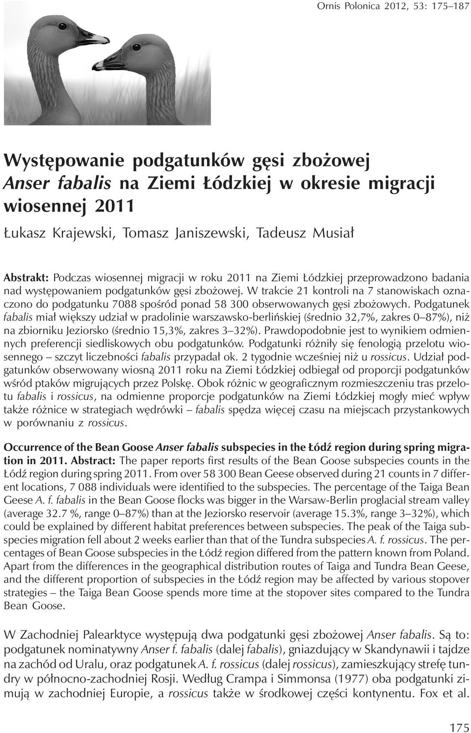 W trakcie 21 kontroli na 7 stanowiskach oznaczono do podgatunku 7088 spośród ponad 58 300 obserwowanych gęsi zbożowych.