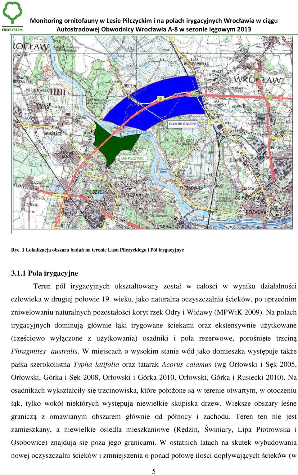 Na polach irygacyjnych dominują głównie łąki irygowane ściekami oraz ekstensywnie użytkowane (częściowo wyłączone z użytkowania) osadniki i pola rezerwowe, porośnięte trzciną Phragmites australis.