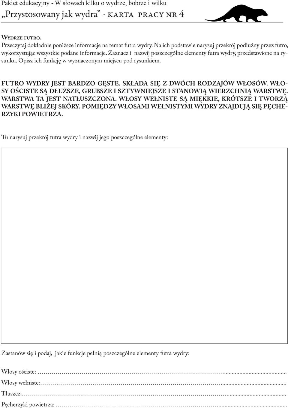 Opisz ich funkcję w wyznaczonym miejscu pod rysunkiem. FUTRO WYDRY JEST BARDZO GĘSTE. SKŁADA SIĘ Z DWÓCH RODZAJÓW WŁOSÓW.