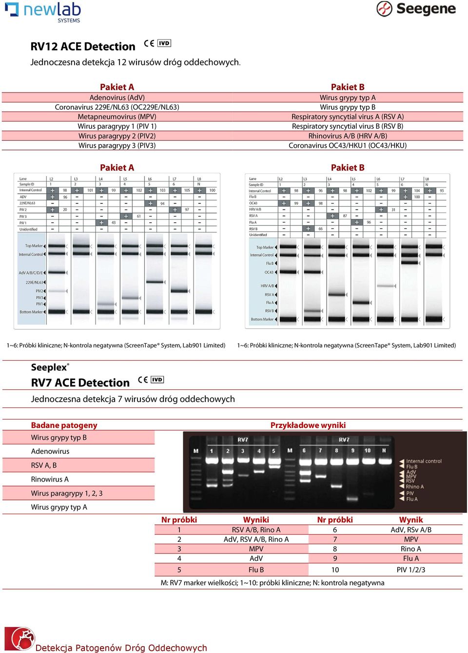 Wirus paragrypy 2 (PIV2) Rhinovirus A/B (HRV A/B) Wirus paragrypy 3 (PIV3) Coronavirus OC43/HKU1 (OC43/HKU) 1~6: Próbki kliniczne; N-kontrola negatywna (ScreenTape System, Lab901 Limited) 1~6: Próbki