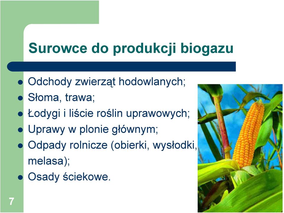 roślin uprawowych; Uprawy w plonie głównym;