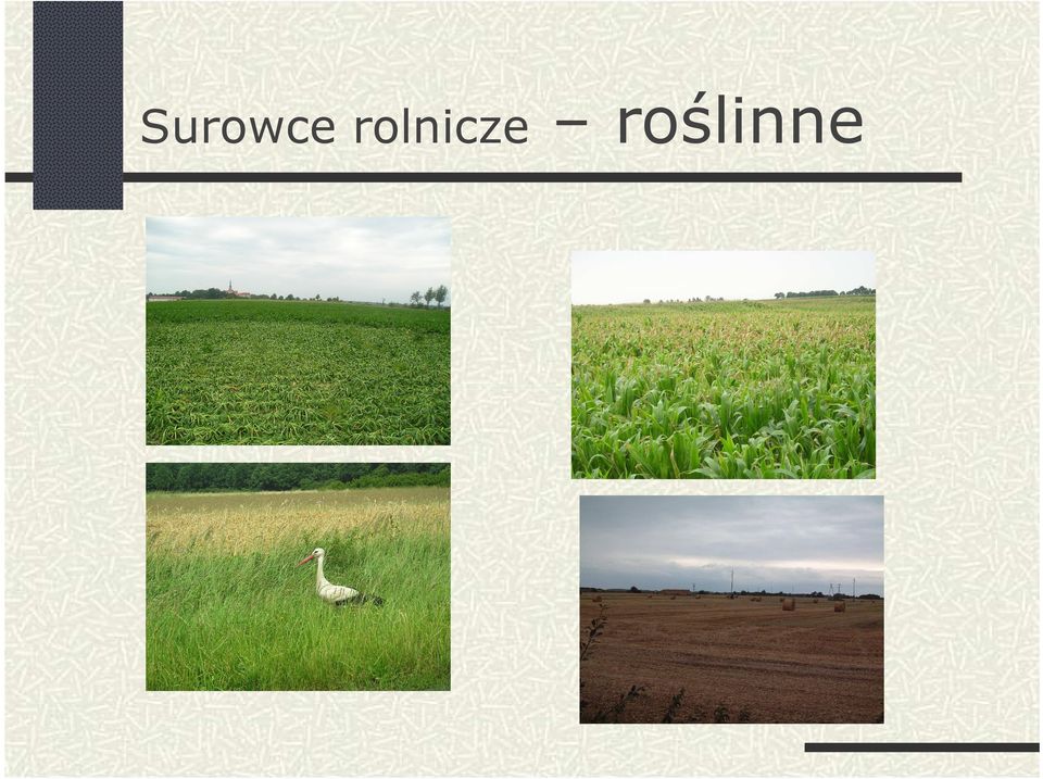 roślinne