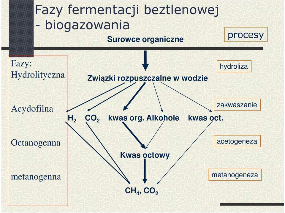 hydroliza Acydofilna H 2 CO 2 kwas org. Alkohole kwas oct.