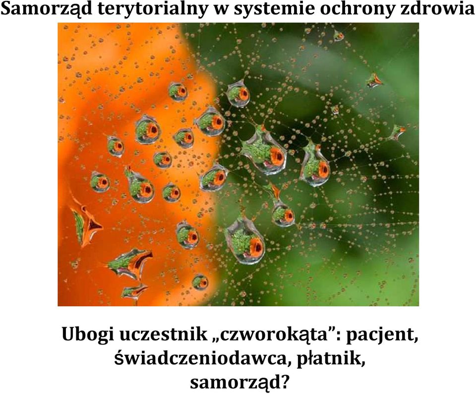 uczestnik czworokąta :