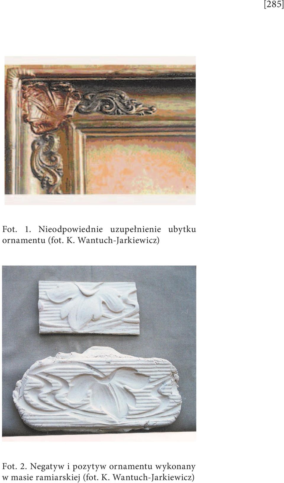 (fot. K. Wantuch-Jarkiewicz) Fot. 2.