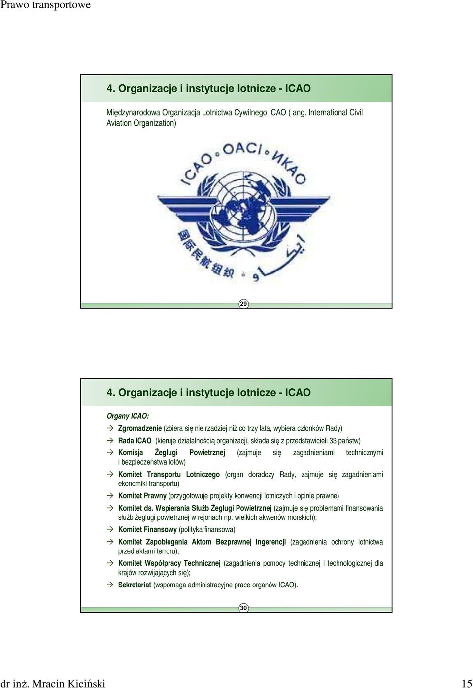 ICAO (kieruje działalnością organizacji, składa się z przedstawicieli 33 państw) Komisja śeglugi Powietrznej (zajmuje się zagadnieniami technicznymi i bezpieczeństwa lotów) Komitet Transportu