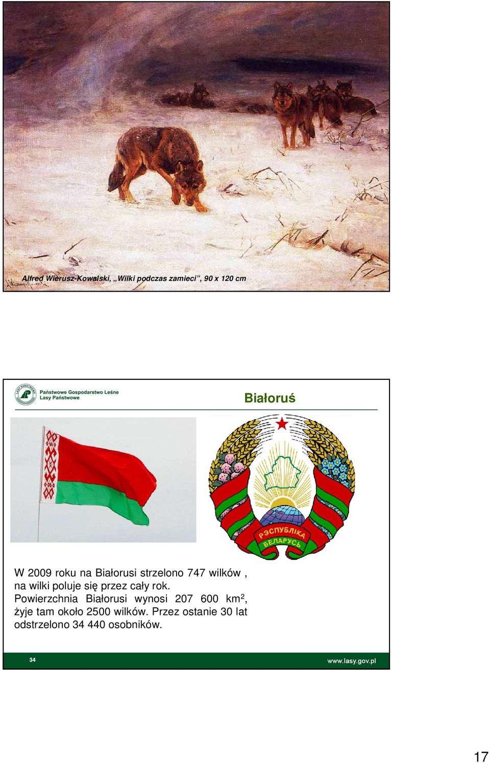 Powierzchnia Białorusi wynosi 207 600 km 2, żyje tam około 2500 wilków.