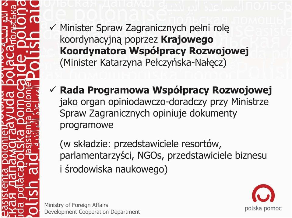 organ opiniodawczo-doradczy przy Ministrze Spraw Zagranicznych opiniuje dokumenty programowe (w