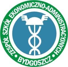 Zajęcia dodatkowe z przedmiotów zawodowych E. Bykowska Warsztaty W uzgodnieniu z uczniami M. Chołuj Zajęcia praktyczne w pracowni komputerowej A.