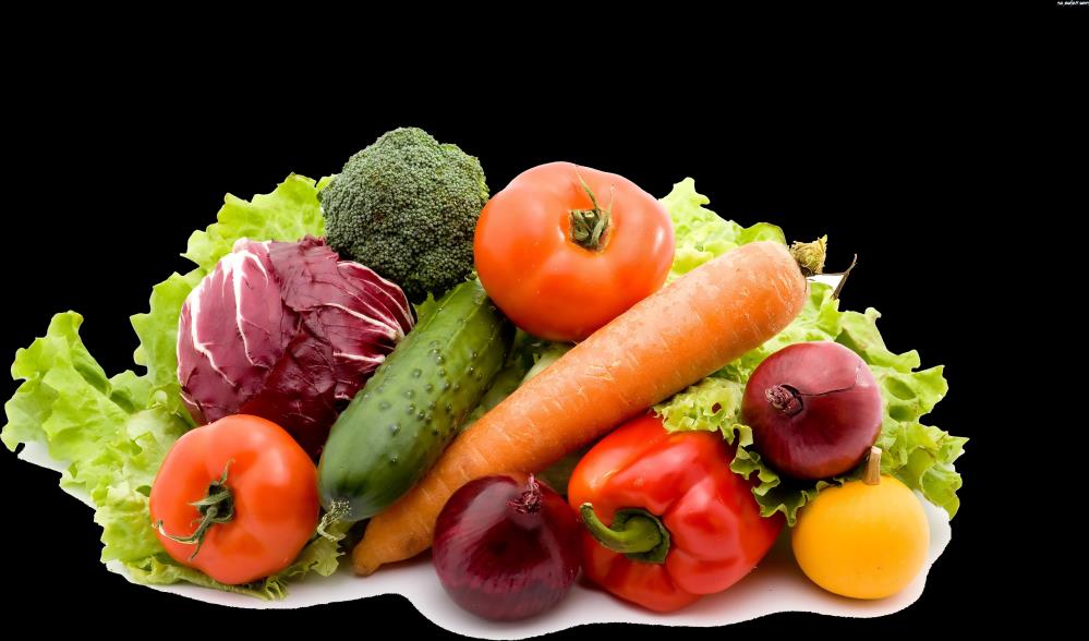 TECHNIK ŻYWIENIA I USŁUG GASTRONOMICZNYCH Absolwent technikum zdobywa wiedzę i umiejętności w zakresie: - kontroli jakości żywności oraz jej przechowywania;