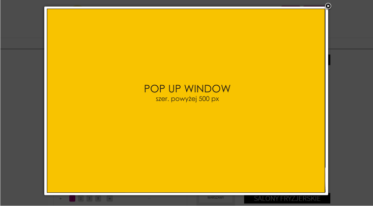 Koszt: 300 zł/ miesiąc 700 zł/ kwartał 1000 zł/ pół roku Pop up window czyli wyskakujące okienko widoczne jest od razu po wejściu na stronę.