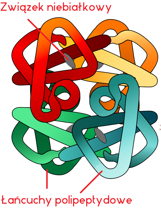 c) Struktura trzeciorzędowa białek Strukturę trzeciorzędową białek warunkuje pofałdowanie się łańcucha o strukturze drugorzędowej, dzięki czemu między grupami bocznymi aminokwasów powstają liczne