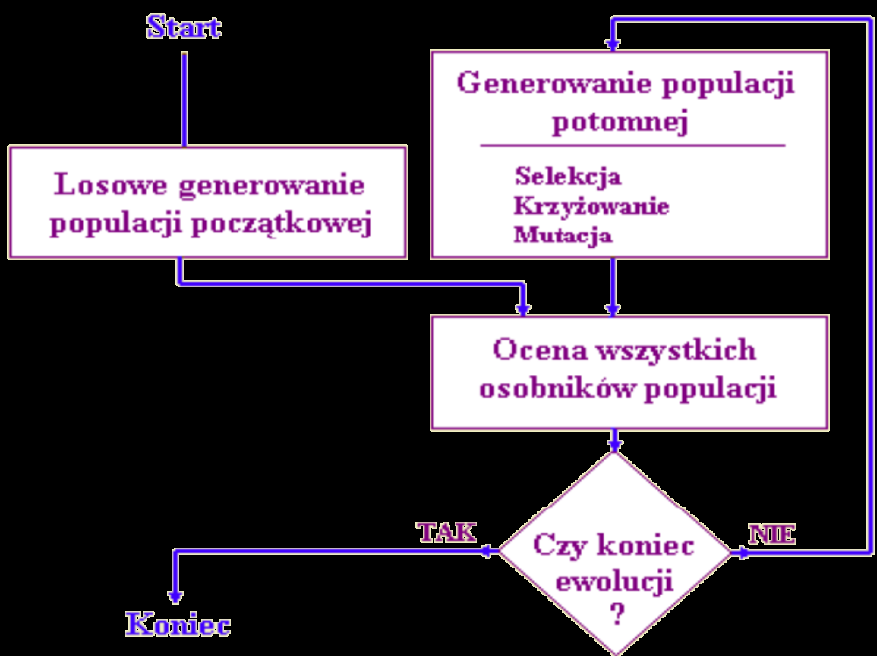 algorytmu genetycznego jest populacja najlepiej przystosowanych osobników, wśród których może znajdować się najlepsze rozwiązanie. Rys. 6.2.