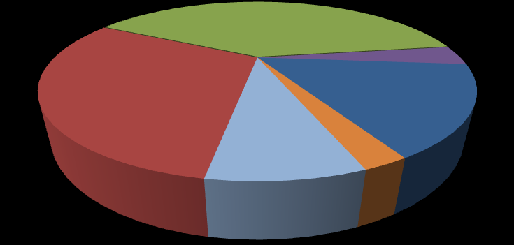Procentowy udział poszczególnych segmentów w przychodach ze sprzedaży ogółem: I półrocze 2012 Maszyny dla górnictwa i energetyki 44% 13% Maszyny dla hutnictwa stali i metali nieżelaznych Maszyny dla
