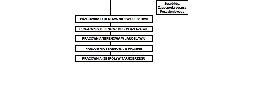 SCHEMAT ORGANIZACYJNY PODKARPACKIEGO BIURA GEODEZJI I TERENÓW ROLNYCH W RZESZOWIE Rozwój