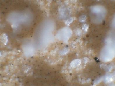 a) b) Rys. 5. Przykładowy obraz sączka po filtracji badanego biopaliwa (pow.