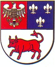 XXVII BIEG NIEPODLEGŁOŚCI Turek, 11 Listopada 2016 r. WYNIKI 10KM M. OPEN IMIĘ NAZWISKO NR. ST. PŁEĆ M.O.PŁEĆ MIASTO KLUB KAT.