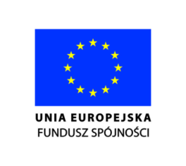 IX priorytet: Infrastruktura energetyczna przyjazna środowisku i efektywność energetyczna X priorytet: Bezpieczeństwo energetyczne, w tym dywersyfikacja źródeł energii. 9.