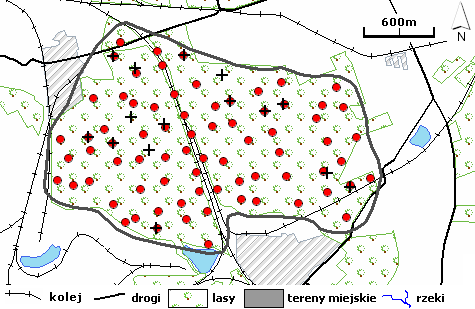 Z1.4. Obszar pomiarowy Makoszów Powierzchnia pomiarowa była zlokalizowana na terenie parku miejskiego położonego na południu Zabrza.