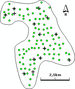 Z1.5. Obszar pomiarowy Miechowice Powierzchnia pomiarowa była zlokalizowana na terenie kompleksu leśnego, położonego na północ od Zabrza, pomiędzy Bytomiem a Tarnowskimi Górami.