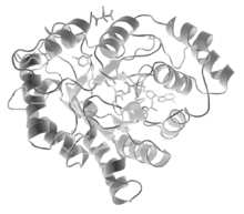 Enzymatyczna redukcja aldehydów i ketonów Pałeczki okręŝnicy, znanej pod łacińską nazwą Escherichia coli lub jej skrótem E. coli. szczepu JM109 redukują niektóre aldehydy do alkoholi.