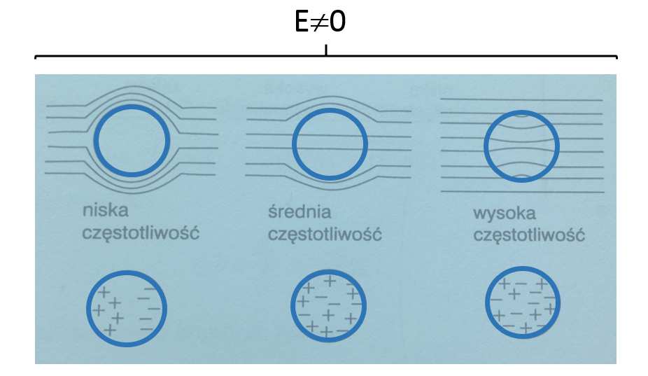 Całkowita impedancja Z modelu tkanki przedstawionego na Rys. 2.6: 1 4 = 25 " + & 6"0#7 