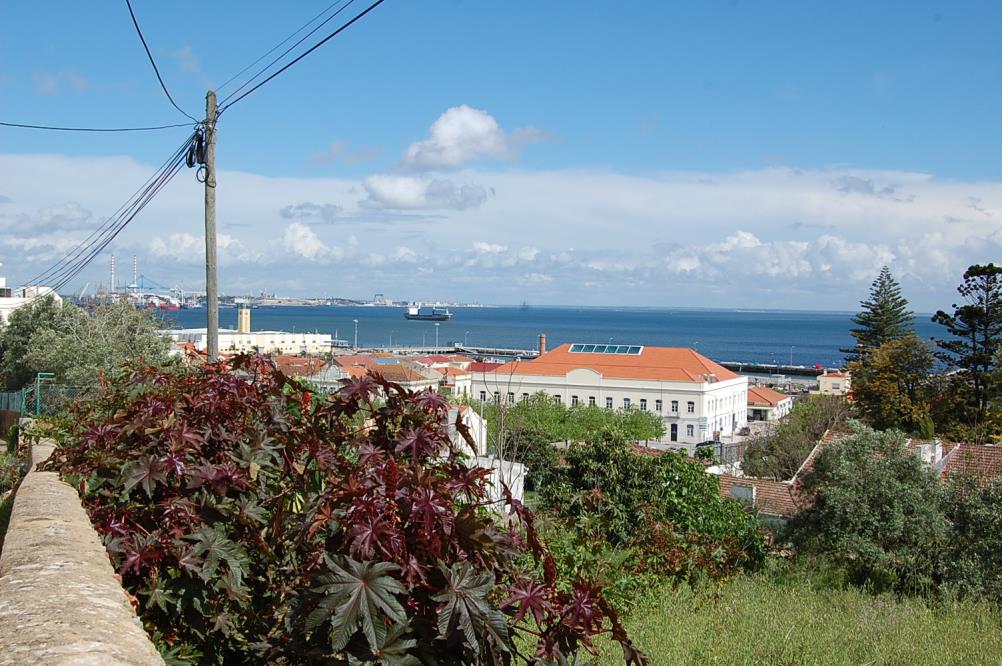 Setúbal Bardzo przyjazne miasto, gdzie mieliśmy przyjemność gościć podczas stażu.