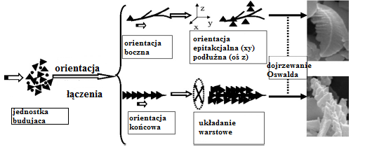 Na dyfraktogramie (Rys.10)