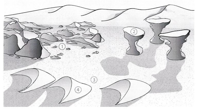 a) W klimacie wilgotnym tworzą się barchany/wydmy paraboliczne. b) W wyniku korazji powstają graniaki i grzyby skalne/pokrywy lessowe i grzyby skalne.