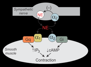 Naczynia