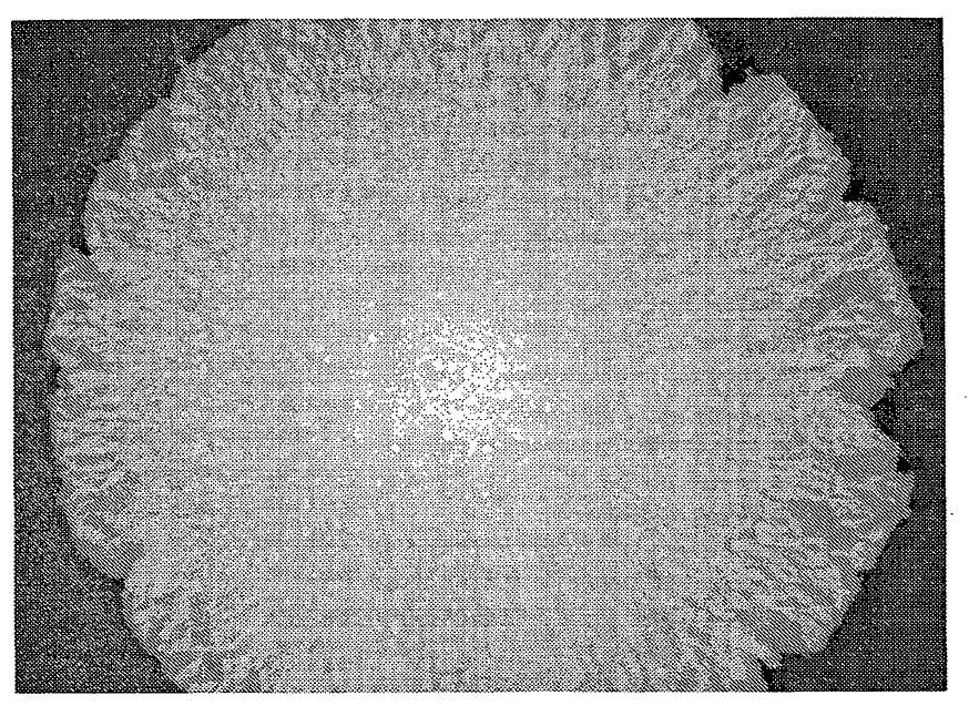 337 Fig.