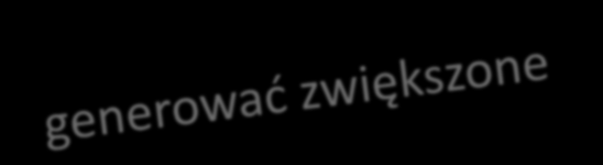 Odpowiedzialność lidera i partnera przed IW Lider