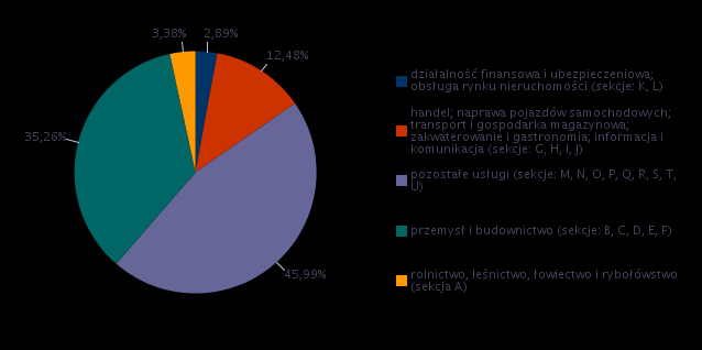 Kolejny wykres prezentuje strukturę badanych przedsiębiorstw według rodzaju prowadzonej działalności. Największą grupę przedsiębiorstw prowadzi swoją działalność w sektorze pozostałe usługi (45,99%).