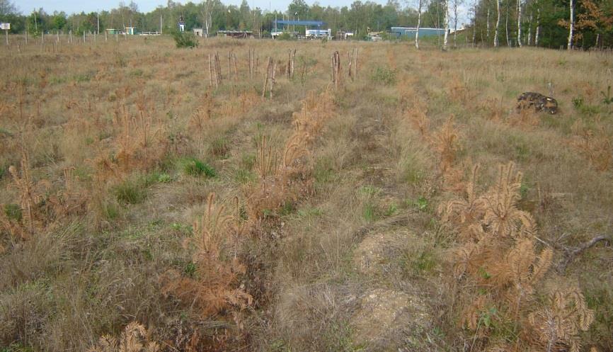 WZROST ZAGROŻENIA POGODA Przestrzenne zróżnicowanie