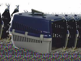 TRANSPORTERY Carriers OGGY S 49x33x30 T10S Zielony / Green T11S Niebieski / Blue T12S Czerwony / Red M 54x38x33 T13M Zielony / Green T14M Niebieski / Blue T15M Czerwony / Red DOGGY Zaczep na pasy