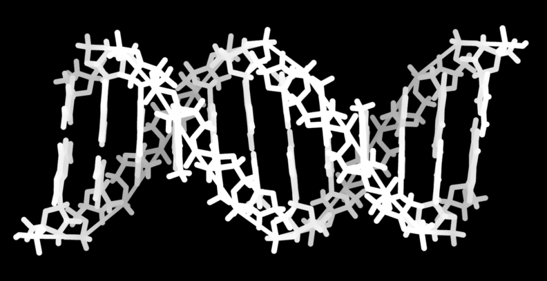 Rozdział 2. Podstawowe zagadnienia biologii molekularnej 7 ˆ łączenie krótszych sekwencji białkowych i nukleotydowych w dłuższe łańcuchy (ang.