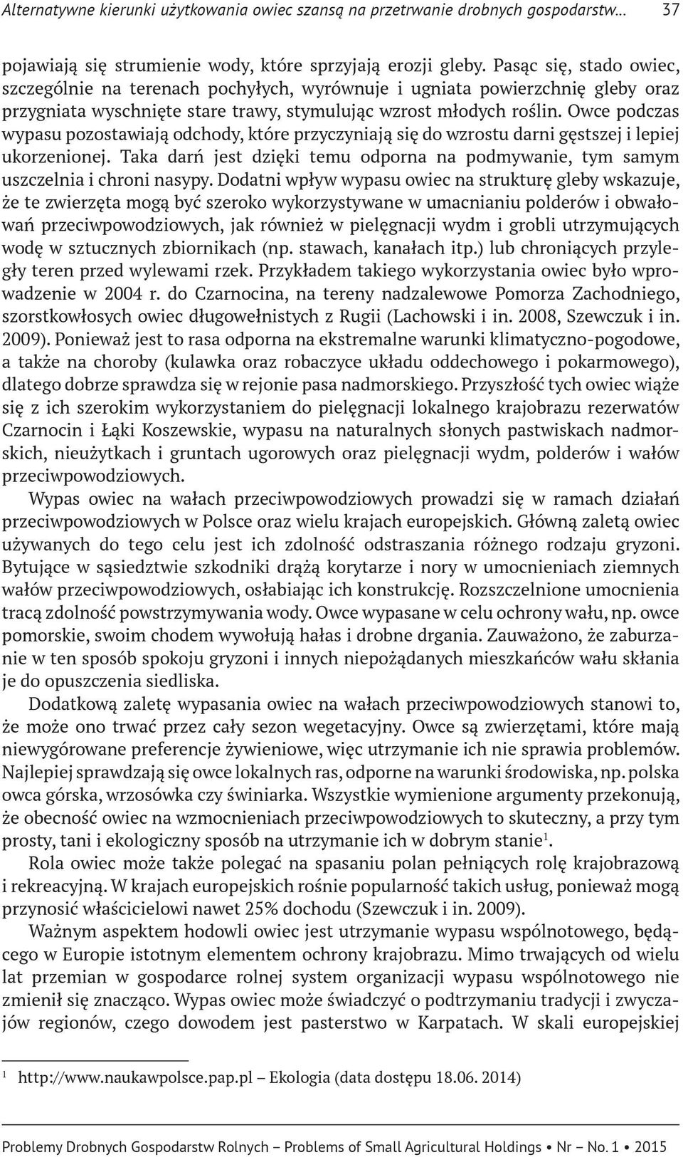 Owce podczas wypasu pozostawiają odchody, które przyczyniają się do wzrostu darni gęstszej i lepiej ukorzenionej.