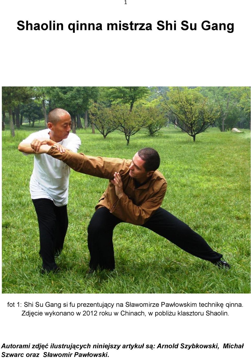 Zdjęcie wykonano w 2012 roku w Chinach, w pobliżu klasztoru Shaolin.