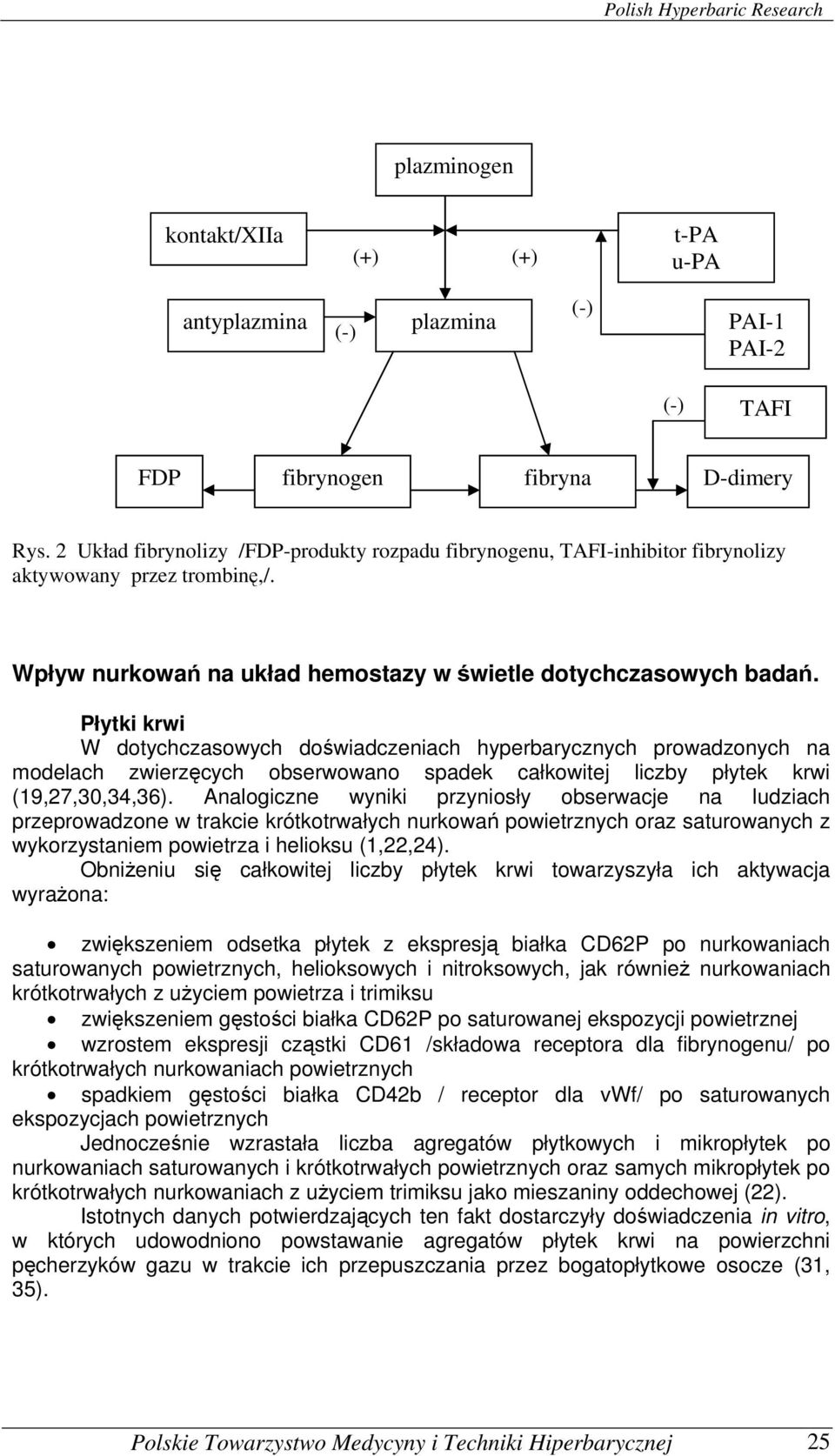 Płytki krwi W dotychczasowych doświadczeniach hyperbarycznych prowadzonych na modelach zwierzęcych obserwowano spadek całkowitej liczby płytek krwi (19,27,30,34,36).