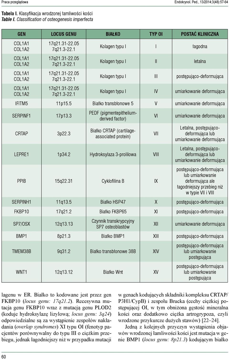 IFITM5 11p15.5 Białko transbłonowe 5 V SERPINF1 17p13.3 CRTAP 3p22.3 PEDF (pigmentepitheliumderived factor) Białko CRTAP (cartilageassociated protein) LEPRE1 1p34.