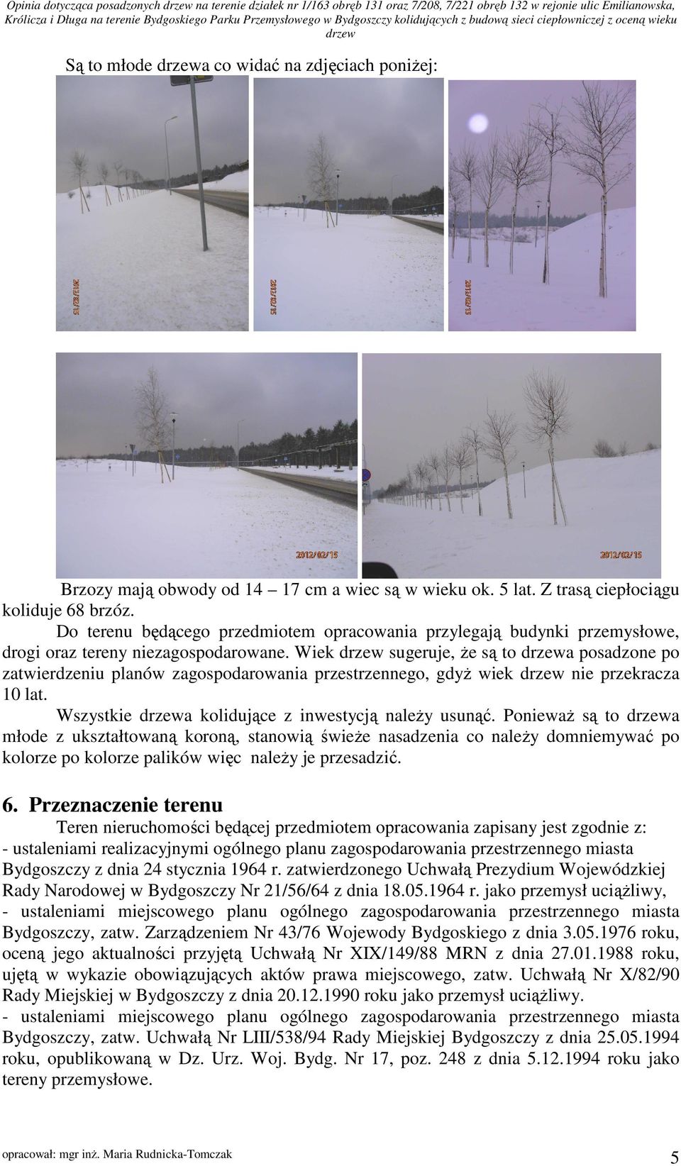 Wiek sugeruje, że są to a posadzone po zatwierdzeniu planów zagospodarowania przestrzennego, gdyż wiek nie przekracza 10 lat. Wszystkie a kolidujące z inwestycją należy usunąć.