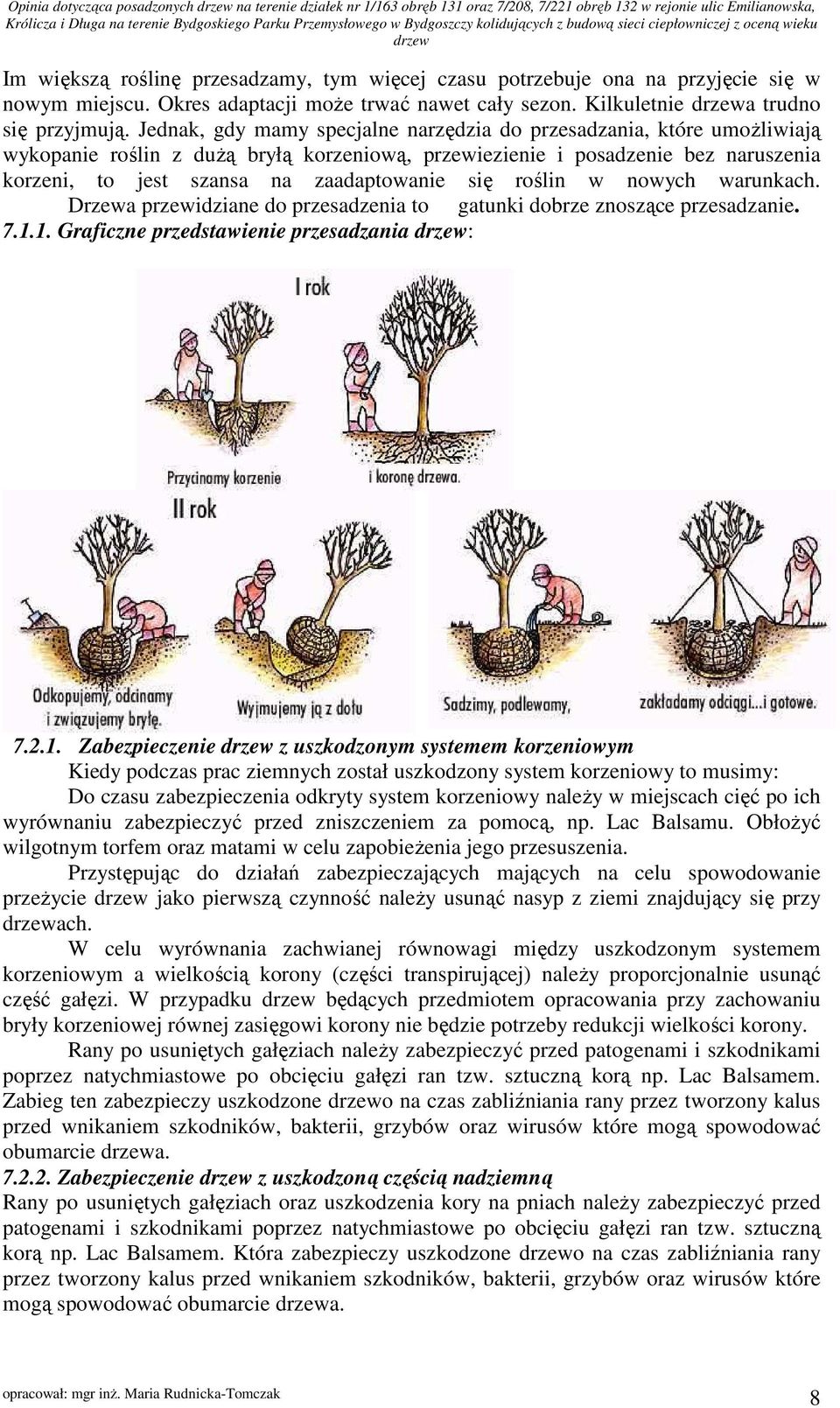 się roślin w nowych warunkach. Drzewa przewidziane do przesadzenia to gatunki dobrze znoszące przesadzanie. 7.1.